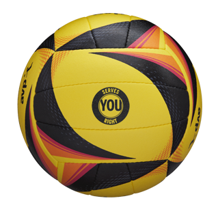 AVP OPTX volleyball with Custom text AVP OPTX volleyball with Custom text